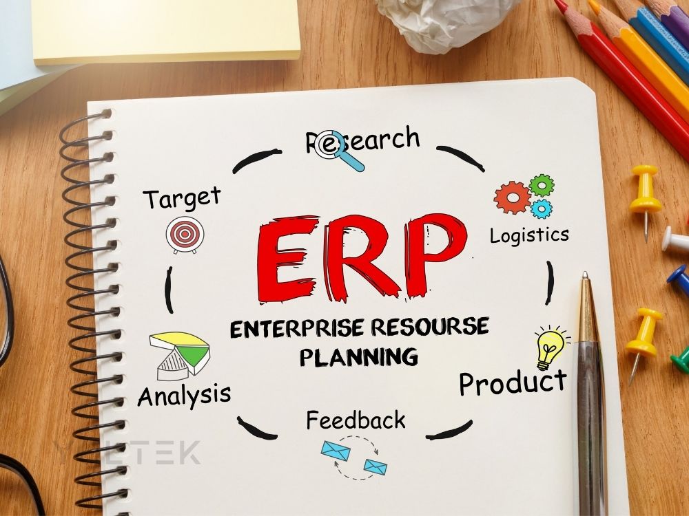 Challenges and Solutions in Developing ERP Systems for SMEs